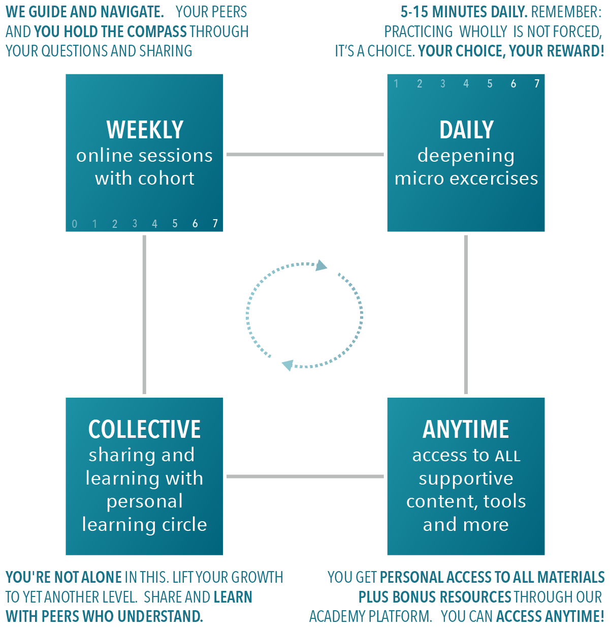 general course structure w online cohort